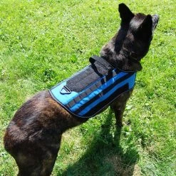 Carry-All MOLLE Pack Vest -Agility Shop 7075534 13 full 27522.1638911444