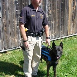 Carry-All MOLLE Pack Vest -Agility Shop 7075534 14 full 70705.1638911441