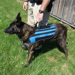 Carry-All MOLLE Pack Vest -Agility Shop 7075534 15 full 76854.1638911443