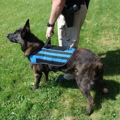 Carry-All MOLLE Pack Vest -Agility Shop 7075534 16 full 79554.1638911447