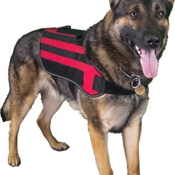 Carry-All MOLLE Pack Vest -Agility Shop 7075534 8 full 11663.1638911442