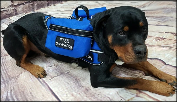 Ultimate Working Dog Vest W/ Clip-On Accessory Bags 4 Ultimate Working Dog Vest W/ Clip-On Accessory Bags - Image 4