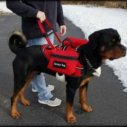 Clip-On Accessory Bag W/ Patch -Agility Shop 7075535Xbag 10 full 43871.1638911344