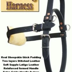 Leather Guide Dog Harness -Agility Shop 7075547AD1 08619.1638911400