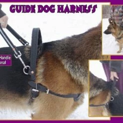 Leather Guide Dog Harness -Agility Shop 7075547AD3 10202.1638911405
