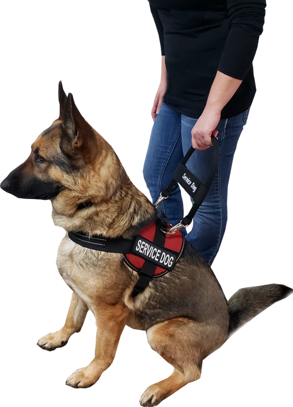 12" Nylon Clip-on Bridge Handle W/Service Dog ID Band 8 12" Nylon Clip-on Bridge Handle W/Service Dog ID Band - Image 8