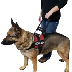 12" Nylon Clip-on Bridge Handle W/Service Dog ID Band 11 12" Nylon Clip-on Bridge Handle W/Service Dog ID Band -Agility Shop 7075556 151 full 80390.1638911512