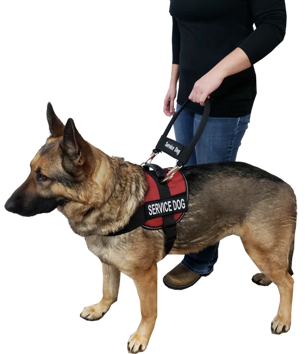 12" Nylon Clip-on Bridge Handle W/Service Dog ID Band 3 12" Nylon Clip-on Bridge Handle W/Service Dog ID Band - Image 3