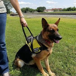 12" Nylon Clip-on Bridge Handle W/Service Dog ID Band 13 12" Nylon Clip-on Bridge Handle W/Service Dog ID Band -Agility Shop 7075556 152 full 82980.1638911515