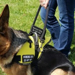 Bridge Handle Hook & Loop ID Band W/ Patch -Agility Shop 7075557 9 full 63519.1638911496