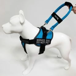 Expanding Elastic Bridge Handle ID Strap Band W/ Patch -Agility Shop 7075558 5 full 88090.1638911497