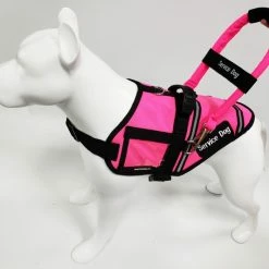 Expanding Elastic Bridge Handle ID Strap Band W/ Patch -Agility Shop 7075558 8 full 27394.1638911502