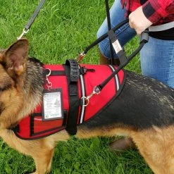 Solid Snap-On Service Dog Bridge Handle With Medical ID Band -Agility Shop 7075559 ad3 full 80754.1638911508