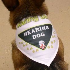 Working Dog Bandana -Agility Shop 707555B 3 full 67015.1638911340