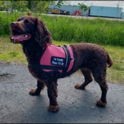 Service Dog Breathable Mesh Vest -Agility Shop 707556 201 full 22632.1652699911