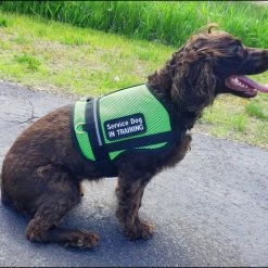 Service Dog Breathable Mesh Vest -Agility Shop 707556 206 full 34256.1652699911