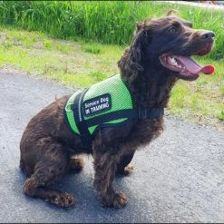 Service Dog Breathable Mesh Vest -Agility Shop 707556 211 full 62669.1652699911