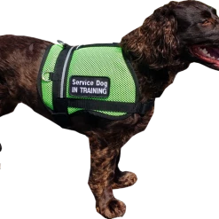 Service Dog Breathable Mesh Vest -Agility Shop 707556 214 full 16624.1652699911