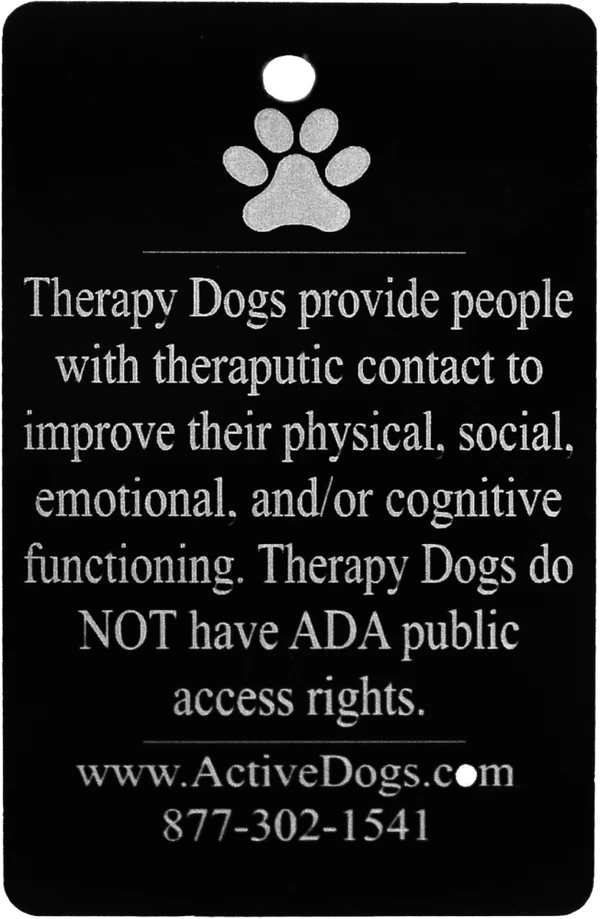 Premium Therapy Dog Starter Kit 5 Premium Therapy Dog Starter Kit - Image 5