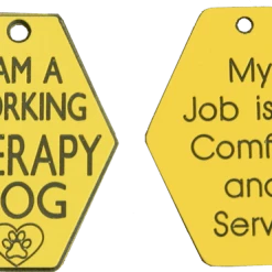 Deluxe Small Therapy Dog Vest Starter Kit 12 Deluxe Small Therapy Dog Vest Starter Kit -Agility Shop 7075565 full 23313.1638911458