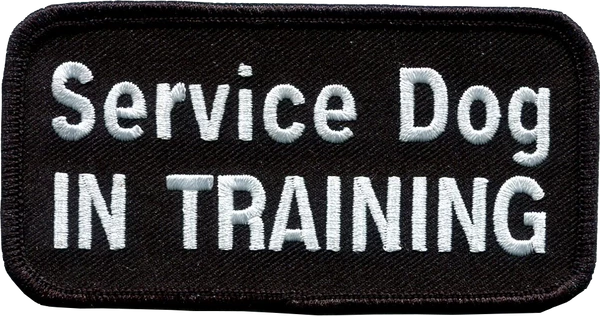 Embroidered Patch 2x4 11 Embroidered Patch 2x4 - Image 11