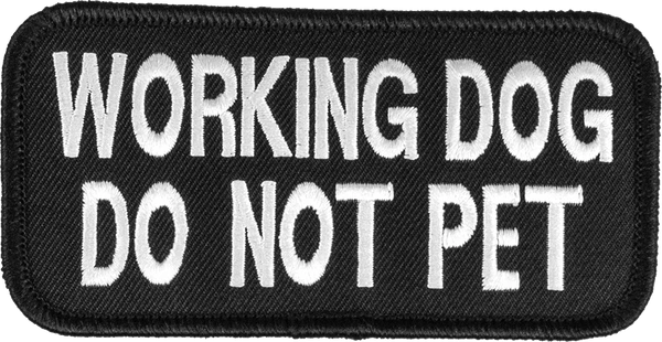 Embroidered Patch 2x4 3 Embroidered Patch 2x4 - Image 3