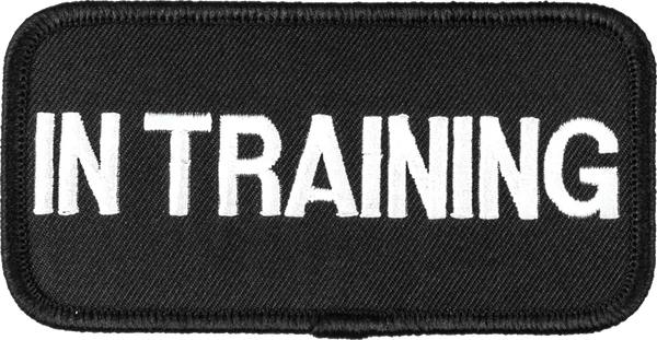 Embroidered Patch 2x4 6 Embroidered Patch 2x4 - Image 6