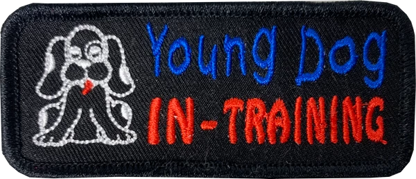 Embroidered Small Specialty Patches 7 Embroidered Small Specialty Patches - Image 7