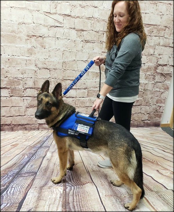 Clip-On Service Dog ID Pocket Bag 2 Clip-On Service Dog ID Pocket Bag - Image 2