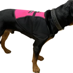 Service Dog Vest - Hybrid Mesh Vest -Agility Shop 707568 4 full 46440.1652094090