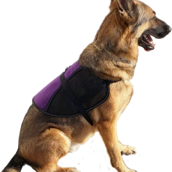 Service Dog Vest - Hybrid Mesh Vest -Agility Shop 707568 7 full 56326.1652094090