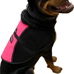 Service Dog Vest - Hybrid Mesh Vest -Agility Shop 707568 9 full 16057.1652094090