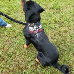 Service Dog Reflective Bandana Dog Collar 13 Service Dog Reflective Bandana Dog Collar -Agility Shop 707569 2 full 90922.1638911526