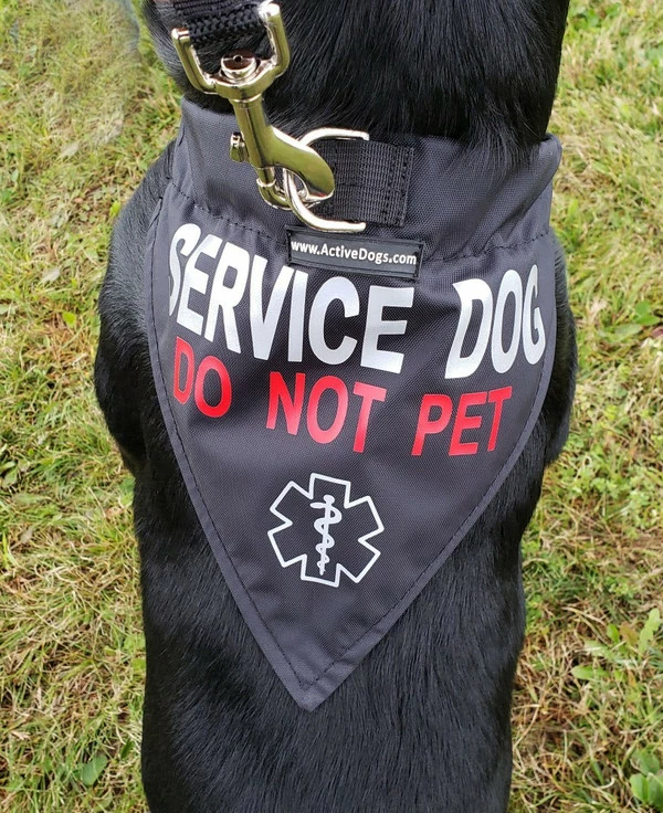 Service Dog Reflective Bandana Dog Collar 6 Service Dog Reflective Bandana Dog Collar - Image 6