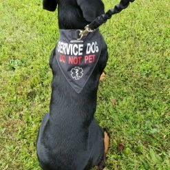 Service Dog Reflective Bandana Dog Collar 17 Service Dog Reflective Bandana Dog Collar -Agility Shop 707569 6 full 86735.1638911531