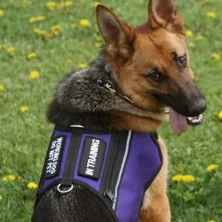 Butterfly Cape Service Dog Vest With Pockets -Agility Shop 707572 1 full 33329.1638911347