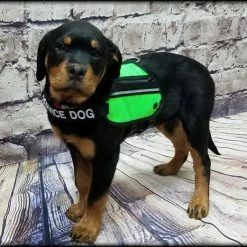 Butterfly Cape Service Dog Vest With Pockets -Agility Shop 707572 25 full 61819.1638911341