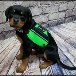 Butterfly Cape Service Dog Vest With Pockets -Agility Shop 707572 26 full 81165.1638911345