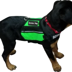 Butterfly Cape Service Dog Vest With Pockets -Agility Shop 707572 27 full 55146.1638911348