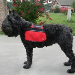 Butterfly Cape Service Dog Vest With Pockets -Agility Shop 707572 full 47113.1638911352