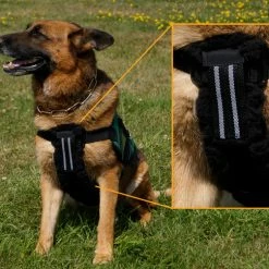 Chest To Girth Strap Support -Agility Shop 707573 1 full 76590.1638911442