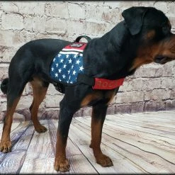 American Patriotic Service Dog Dual Pocket Vest -Agility Shop 707574 7 full 49395.1638911523