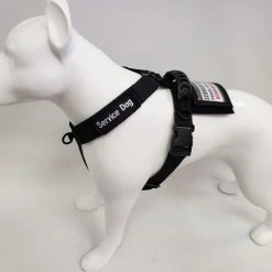 Front Range No Pull Dog Harness -Agility Shop 707576 16 full 43882.1638911531
