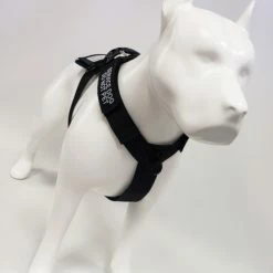 Front Range No Pull Dog Harness -Agility Shop 707576 4 full 69436.1638911533