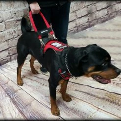 No Pull Service Dog Harness - Front-Range -Agility Shop 707578 8 full 54506.1647865607