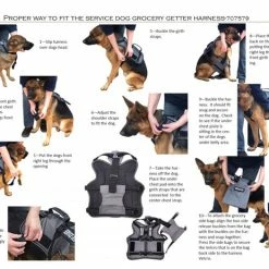 Service Dog Saddle Bag Grocery Getter Harness Vest 57 Service Dog Saddle Bag Grocery Getter Harness Vest -Agility Shop 707579 16 full 70318.1638911476