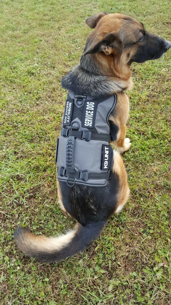 Service Dog Saddle Bag Grocery Getter Harness Vest 23 Service Dog Saddle Bag Grocery Getter Harness Vest - Image 23