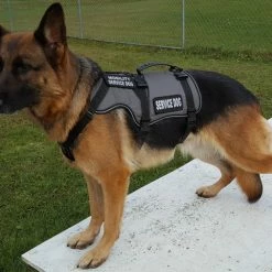 Service Dog Saddle Bag Grocery Getter Harness Vest 31 Service Dog Saddle Bag Grocery Getter Harness Vest -Agility Shop 707579 20 full 35440.1638911455