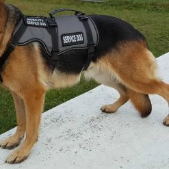 Service Dog Saddle Bag Grocery Getter Harness Vest 41 Service Dog Saddle Bag Grocery Getter Harness Vest -Agility Shop 707579 21 full 54442.1638911468