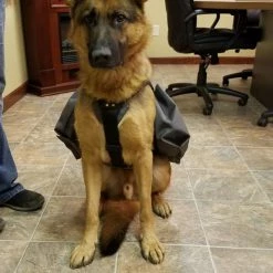 Service Dog Saddle Bag Grocery Getter Harness Vest 49 Service Dog Saddle Bag Grocery Getter Harness Vest -Agility Shop 707579 23 full 71517.1638911465